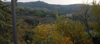 Ferienhaus / Villa - Polveraia, Scansano, Grosseto