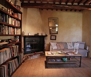 Smart TV, fireplace, DVD player, books