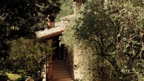 Un sentier rustique en pierre mène à un bâtiment traditionnel en pierre, surmonté d’un toit de tuiles, et est entouré d’une végétation luxuriante et d’oliviers.