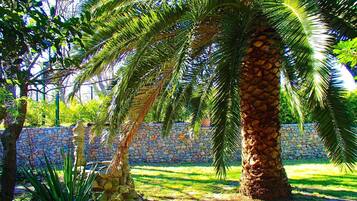 Terrein van de accommodatie