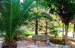 Un banc de pierre entouré d’une végétation luxuriante et d’arbres.