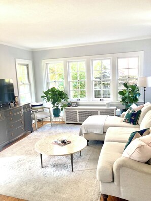 Smart-tv, pejs, videospil, dvd-afspiller