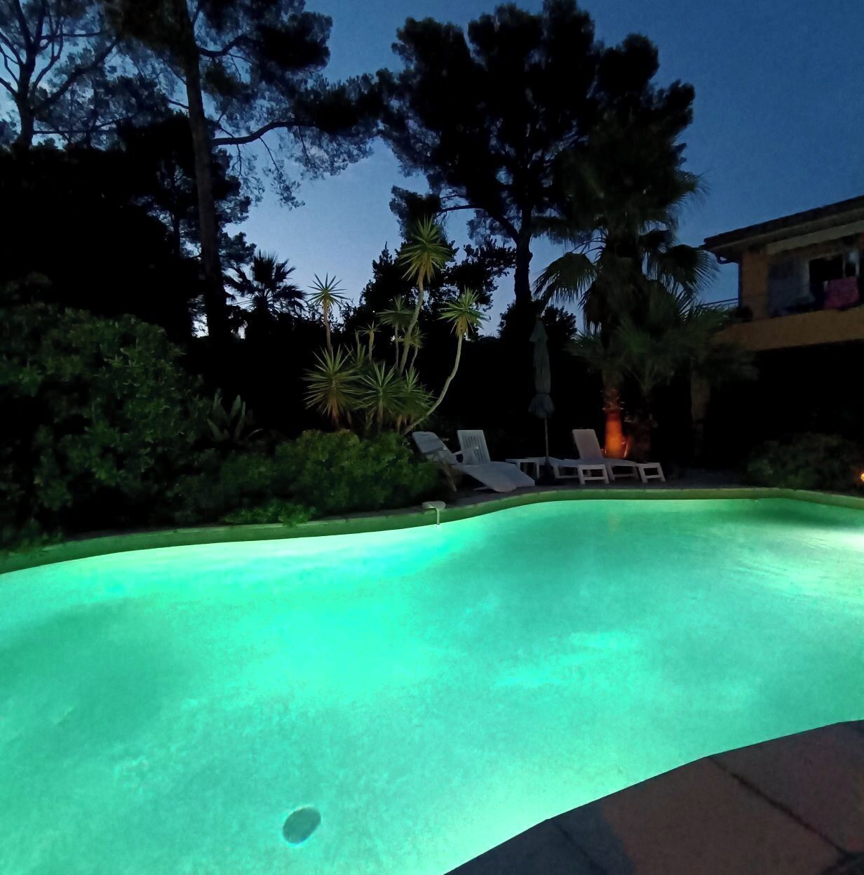 Una piscina al atardecer con sillones de descanso y plantas tropicales alrededor.