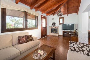 TV, fireplace, DVD player, books