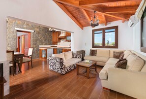 TV, fireplace, DVD player, books