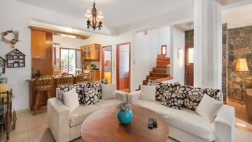 TV, fireplace, DVD player, books