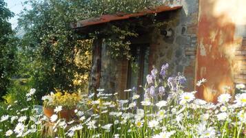 DĂ©tail de lâextĂ©rieur