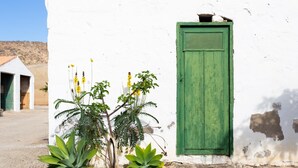 A white building with a green door and a small window. There are plants in front of the door. - VILLA EL MATO - CASERÍO DE GUAZA (Arona)