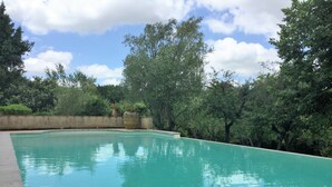 A swimming pool with a clear blue water surface, surrounded by lush greenery and trees. - Family house between Toulouse and Carcassonne (Saint-Paulet)
