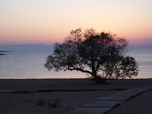 Plage à proximité, chaises longues