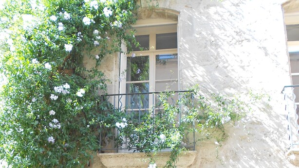 Un bâtiment doté d’une grande porte en bois sombre, d’un balcon avec une rambarde en métal et d’un mur recouvert de lierre.