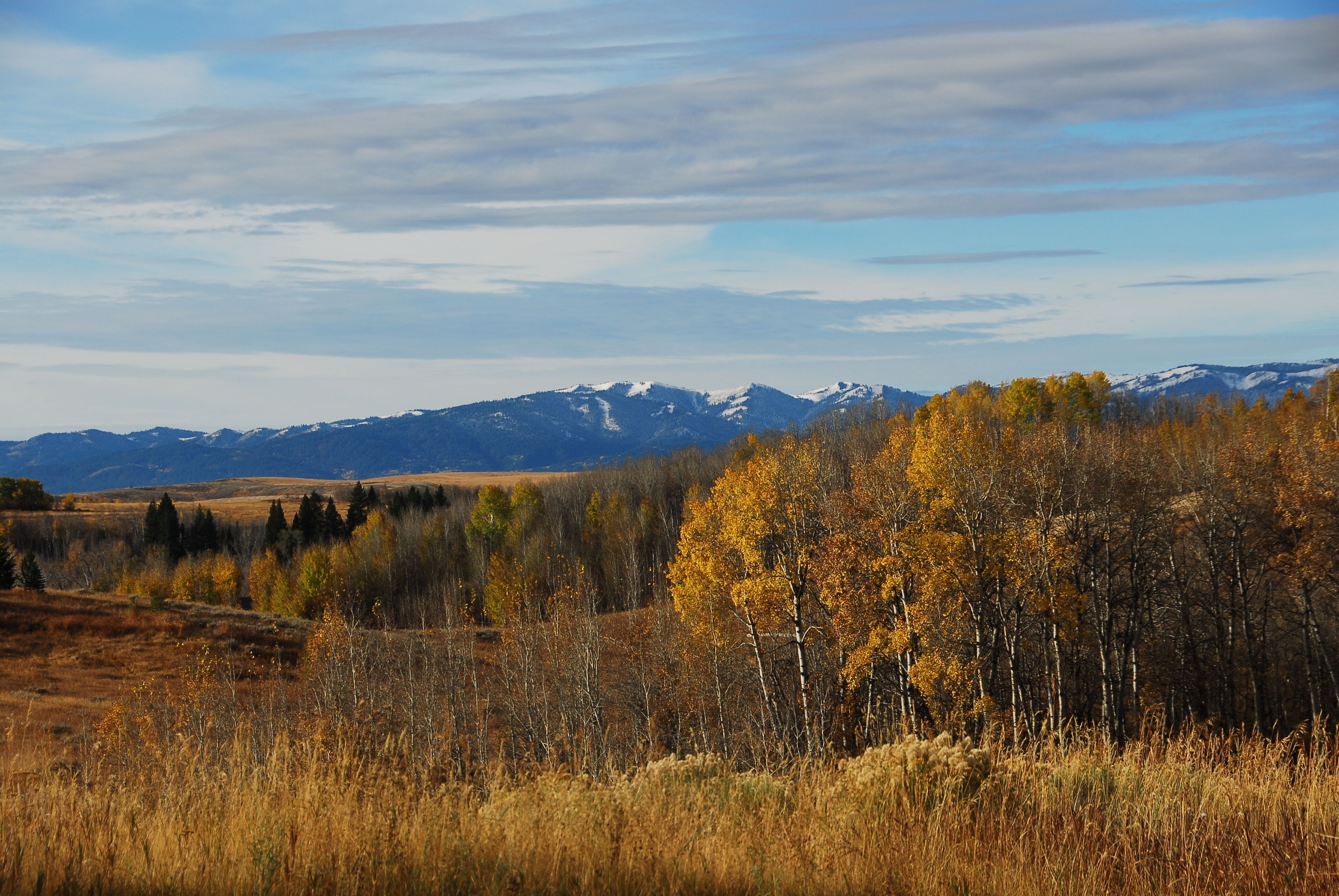 A mountainous landscape with autumn foliage and snow-capped peaks in the distance.