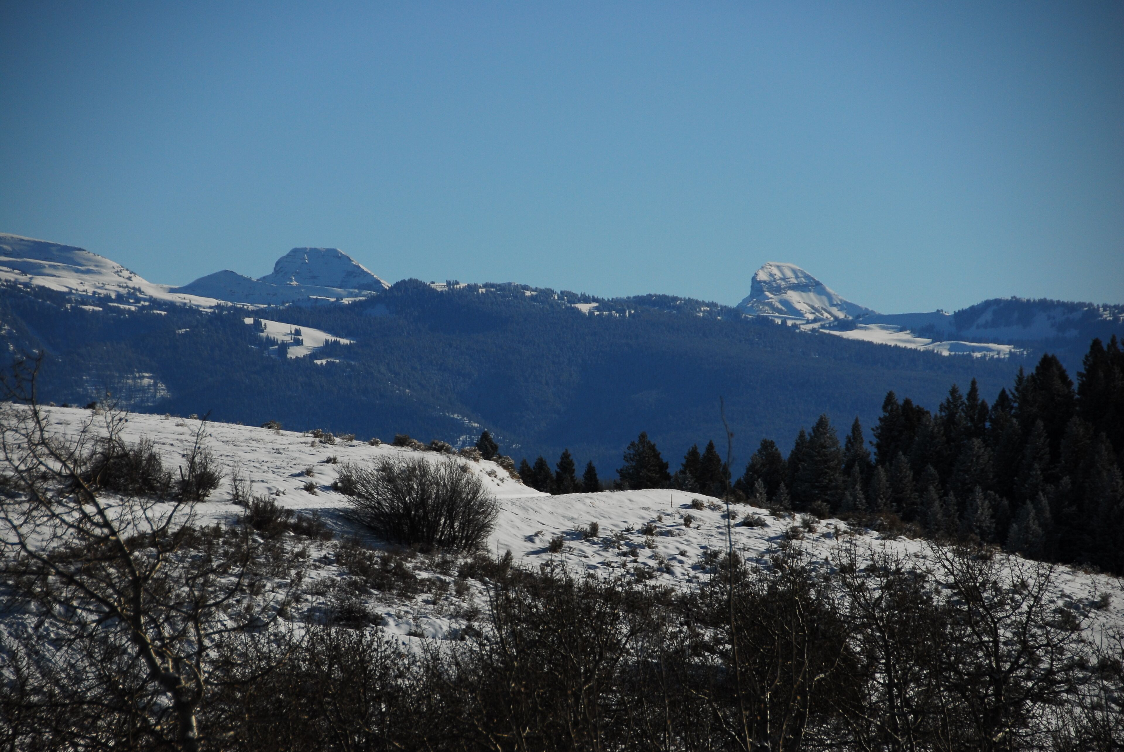 Paisatge de muntanyes amb vessants cobertes de neu i boscos densos.