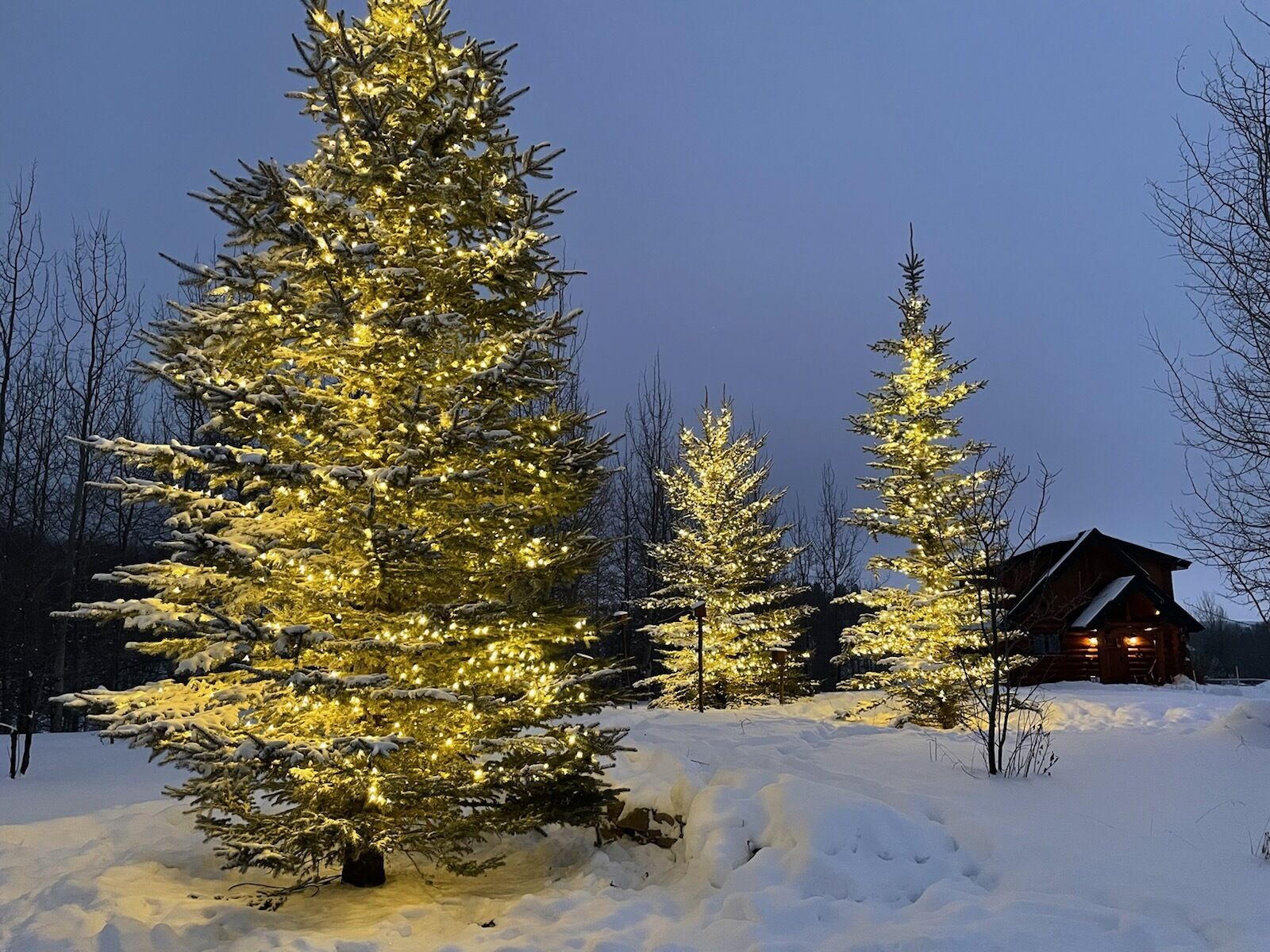 Et snedækket landskab med oplyste juletræer og en træhytte.