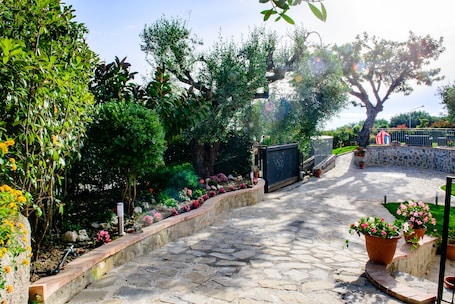 Parco della struttura. Villa Rosa Cilento Suite Smeraldo