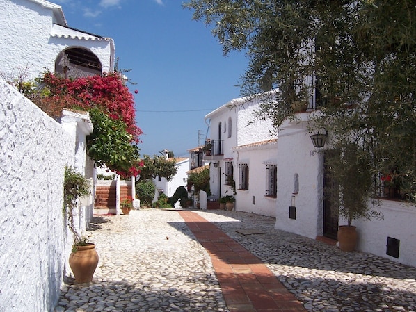 A narrow cobblestone street flanked by white buildings with terracotta pots and red flowers.