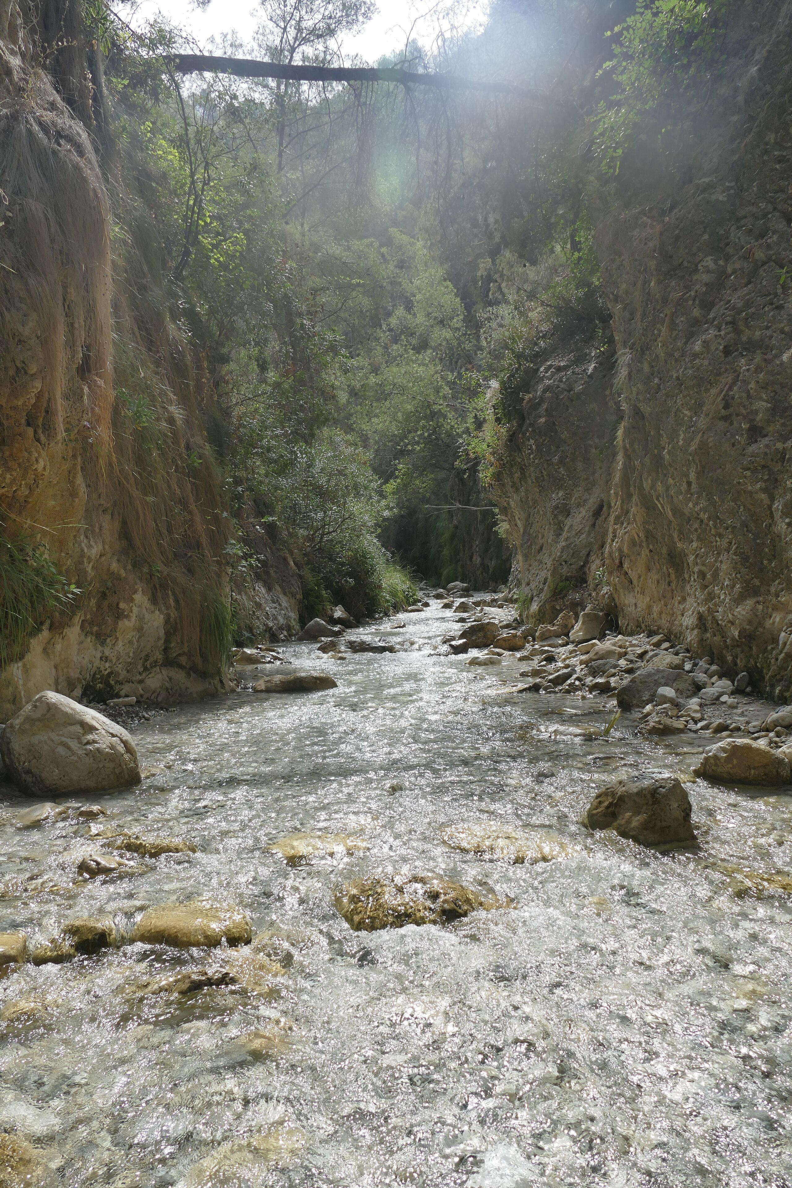A river flowing through a narrow canyon with rocky terrain and dense vegetation.