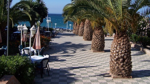 Ein gepflasterter Weg, gesäumt von Palmen und mit Sitzgelegenheiten im Freien, der zum Meer führt.