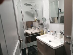 Shower, hair dryer, soap, toilet paper