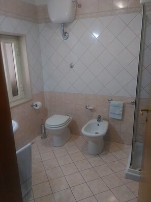 Regadera, bidet, toallas, jabón 