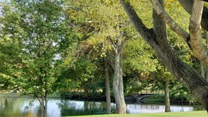 A park with a pond, trees, and a grassy area.