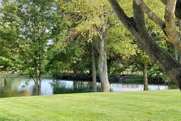 Àrea exterior de l'allotjament