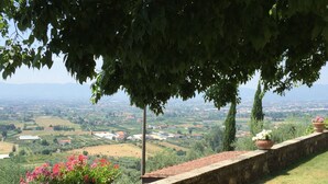 Un mur de pierres, agrémenté de plantes et de fleurs en pot, qui offre une vue sur un paysage rural avec des champs et des maisons.