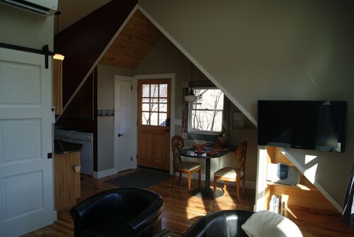 Aurinkoinen, aivan uusi vierastalo, 11 jalkakatto, kävelykelpoinen Ashevillen keskustaan