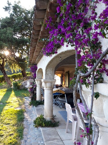 House with garden view