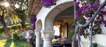 House with garden view