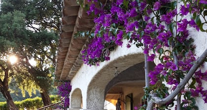 House with garden view