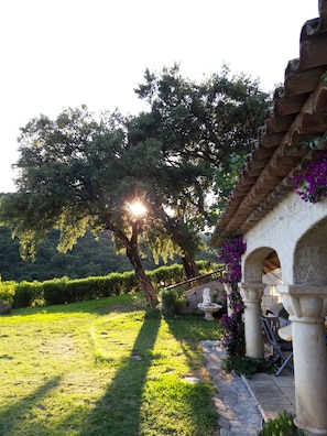 Property grounds - House with garden view (Sainte-Maxime)