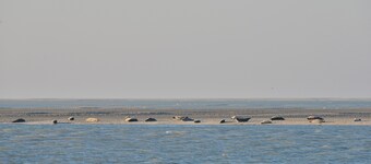 Bella proprietà in baia di Somme 