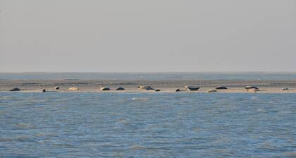 Belle propriété en baie de somme, plage à 50 mÚtres et grand jardin