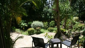 Terrassa exterior amb dues cadires i una taula, envoltada de vegetació exuberant i diferents plantes.