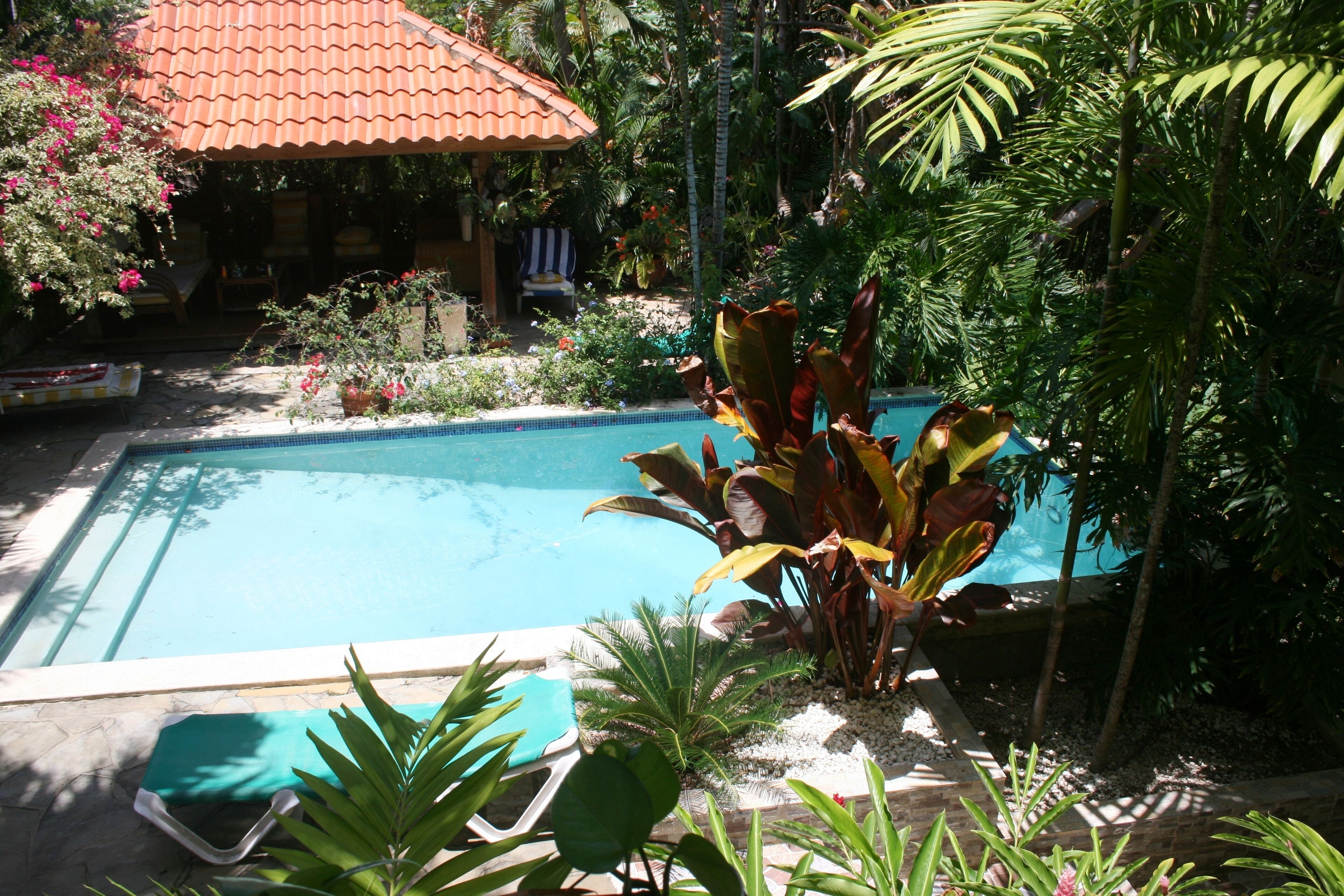 En swimmingpool omgivet af frodige tropiske planter og en tagkonstruktion med flisetag.