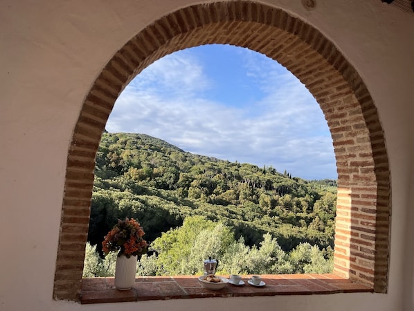 Vista attraverso una finestra ad arco su un verdeggiante pendio.