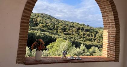 "Terrazza" apartment in a country house, garden, sea view 6 km to the sea