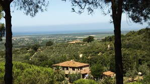 Un edificio de piedra con tejado de tejas, rodeado de abundante vegetación y árboles, con vistas a un paisaje costero.