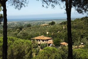 Un edificio in pietra con tetto in tegole, circondato da una fitta vegetazione e alberi, con vista sul paesaggio costiero.