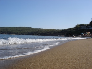 Una spiaggia con onde, un pendio boscoso e ombrelloni.