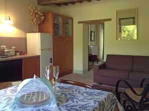 Living area - Apartment in old farmhouse, just 6 km away from Anghiari, between Tuscany and Umbria (Anghiari (AR))