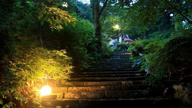 A stone staircase surrounded by lush greenery, leading to a traditional building with a red roof.