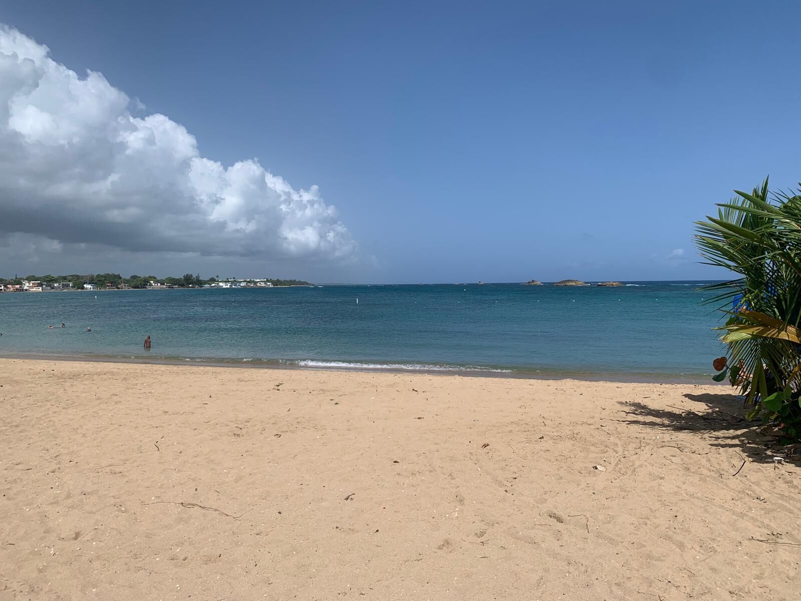 A beach with clear skies, calm water, and a sandy shore.