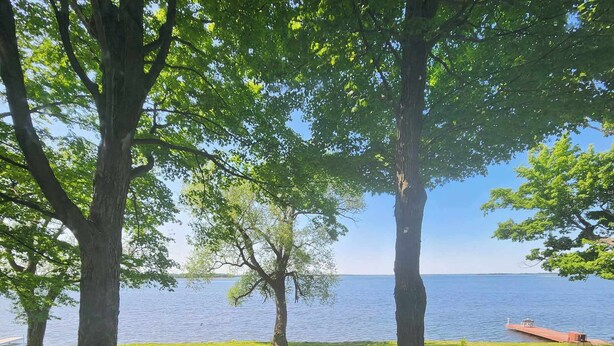 Un espace verdoyant avec un banc en bois et une table de pique-nique, entouré de grands arbres et bordé par une étendue d’eau.
