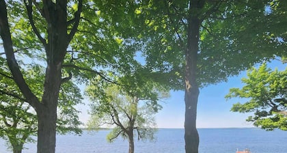 Birdwatcher's Paradise