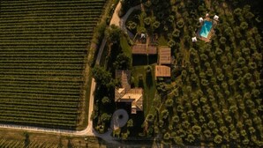 An aerial view of a property with a swimming pool, multiple buildings, and surrounding vineyards. - Ginestra (Montefalco)