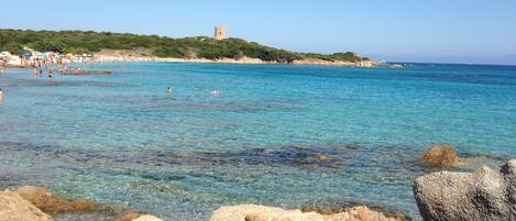 Am Strand