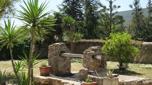 Un site archéologique en plein air, avec des structures en pierre et des plantes en pot.