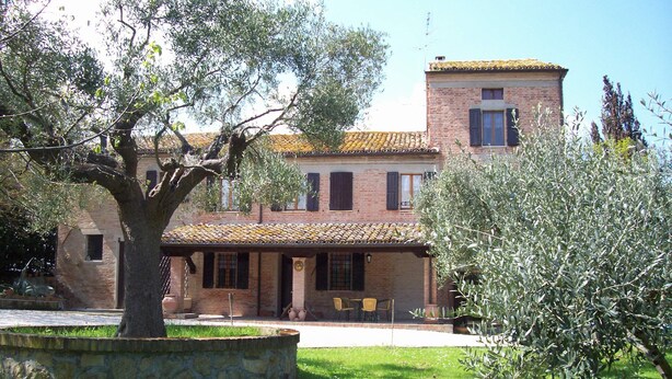 Un edifici de maó tradicional amb teulada de teules, una font de pedra i un olivera al primer pla.